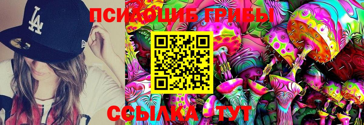Галлюциногенные грибы Psilocybe  Галлюциногенные грибы Psilocybe  где купить   Чита  Вход с VPN 