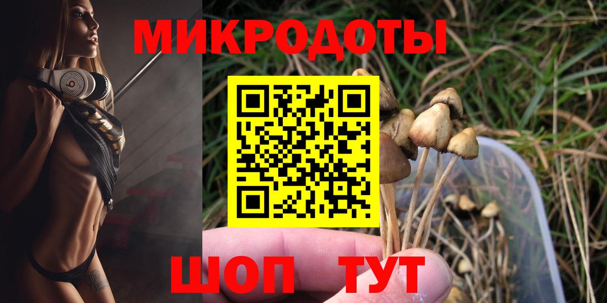 Псилоцибиновые грибы прущие грибы Чита
